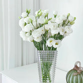 Eustoma * 600g